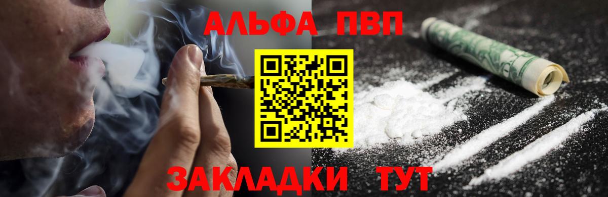 Альфа ПВП СК Заволжье