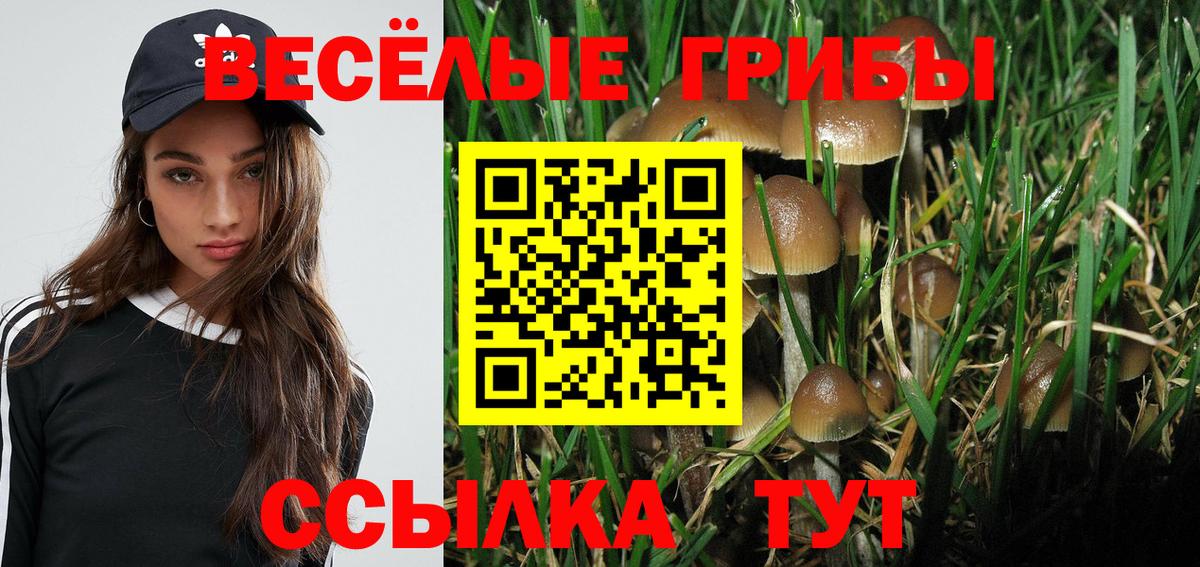 Псилоцибиновые грибы мухоморы  Вход с VPN  Заволжье 